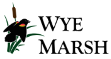 wye marsh logo
