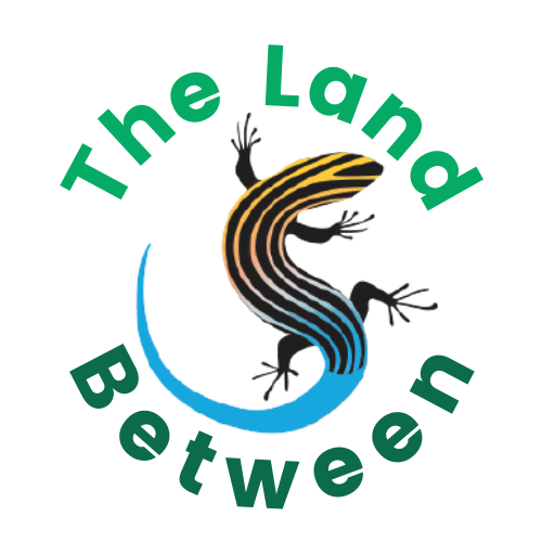 the land between logo